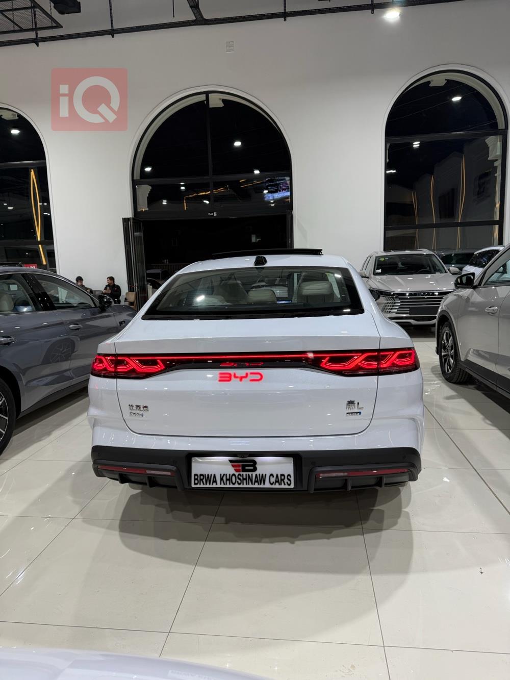 بي واي دي كوين L DM-i